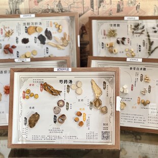 中药房医院诊所中药创意装饰画方E剂标本木框展示倪师中草药挂画