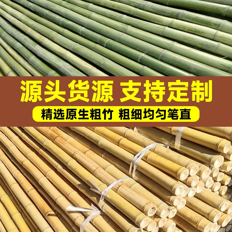 竹竿菜园搭架竹杆蔬菜黄瓜番茄豆角K葡萄架杆竹篱笆栅栏小竹子