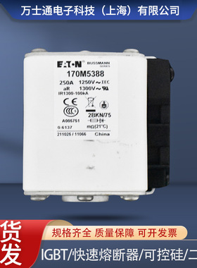 全新熔断器现货170M5388/5389/5390/5391/5392/5393