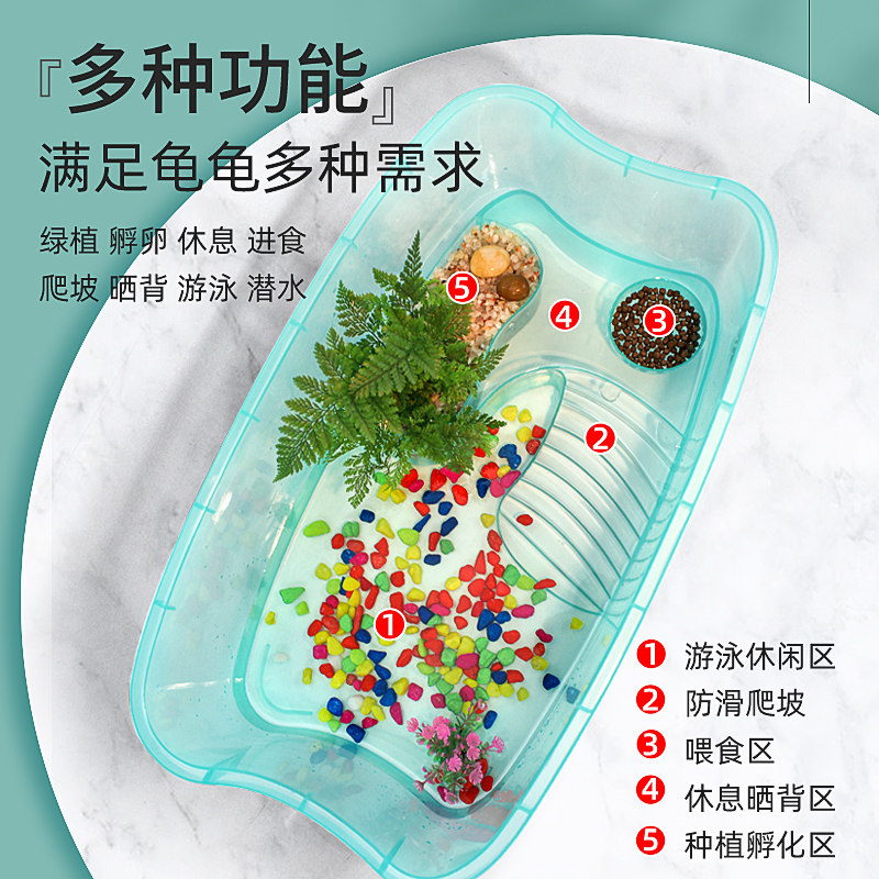 极速小乌龟活宠物观赏家养中华草龟珍珠巴西花龟网红好幼龟苗耐活