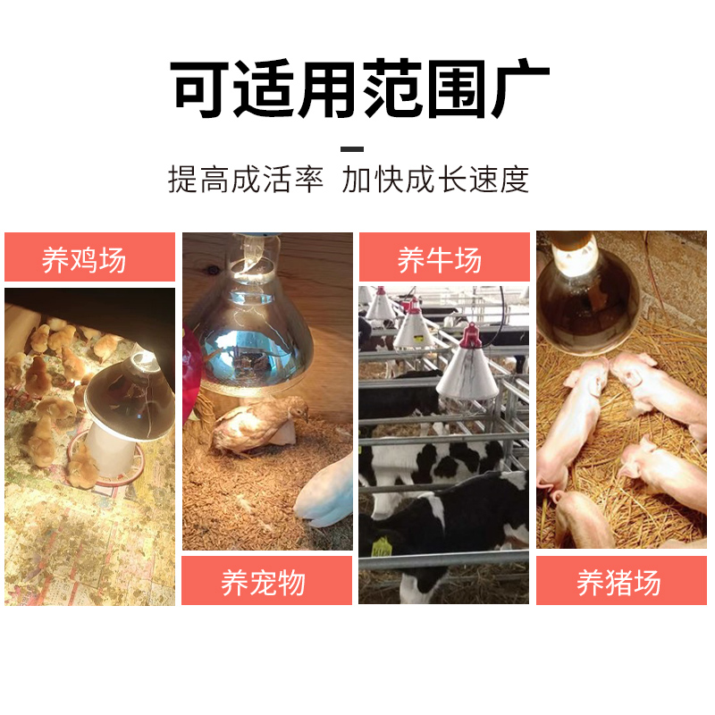 芦丁鸡保温灯自动控温养殖场专用智能调温取暖灯泡鹦鹉陶瓷加热灯