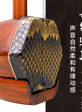 相思鸟红花梨二胡乐器初学练习蟒皮六方二胡民族弹奏乐器带松香随