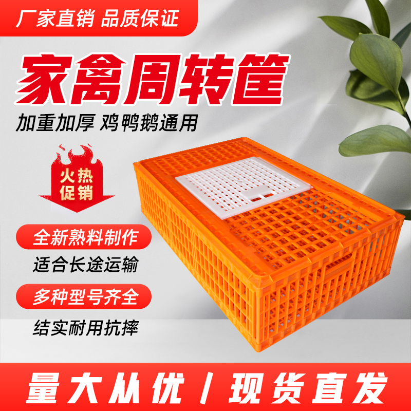新款鸡笼运输笼塑料周转箱筐成鸡鸭鹅鸽子兔笼家用特大号养殖笼