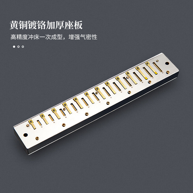 天鹅口琴28孔初学者学生儿童复音重音C调专业演奏级乐器银色【推