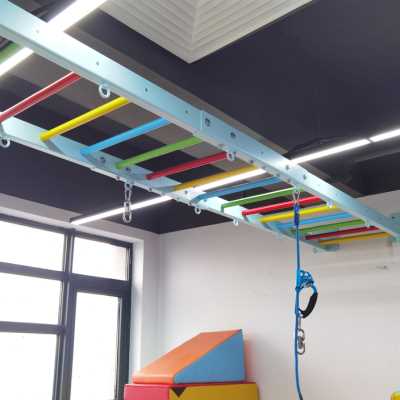 悬挂秋千猴子架铁架儿童感统体能健身室内攀爬梯训练器材悬吊云梯