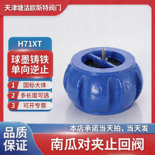 天津塘沽球墨铸铁南瓜式对夹式消声静音止回阀H71XT单向逆止阀