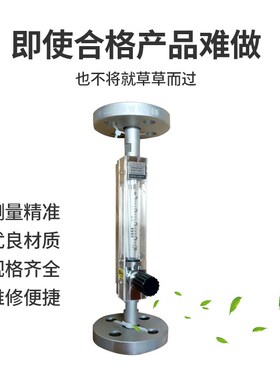 双环DN15法兰型玻璃转子流量计底进上出DK800-6F气体液体流量计