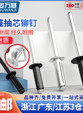 灯笼抽芯铆钉全铝大帽沿拉铆钉三爪黑色汽车用酒盒用拉钉铆钉拉花
