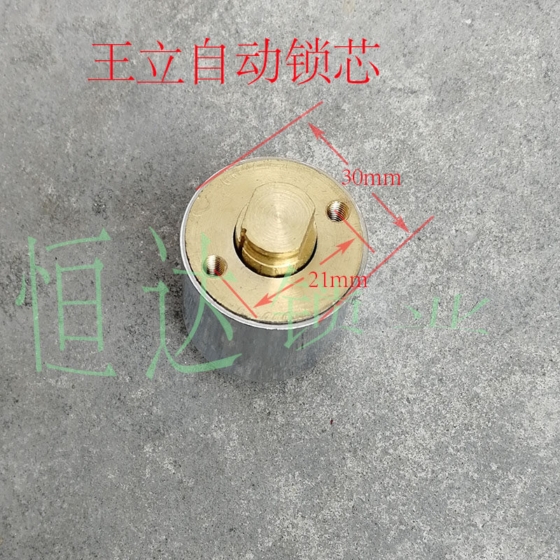 适用叶片王立22自动锁锁头碰锁超C级防盗门锁芯各种锁芯锁匠供货