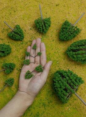 沙盘建筑模型绿系老行道树成品模型树微景观树场景模型树