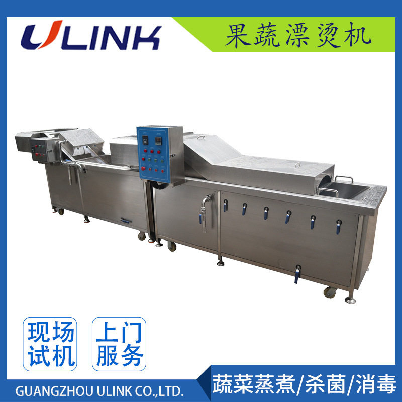 水果蔬菜漂烫机预煮清洗机蒸汽漂烫机净菜生产线