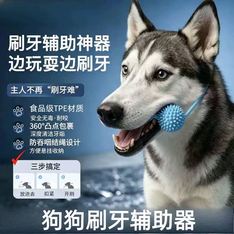 狗狗刷牙辅助器口腔清洁磨牙棒宠物洁牙玩具磨牙食品级tpe安全耐