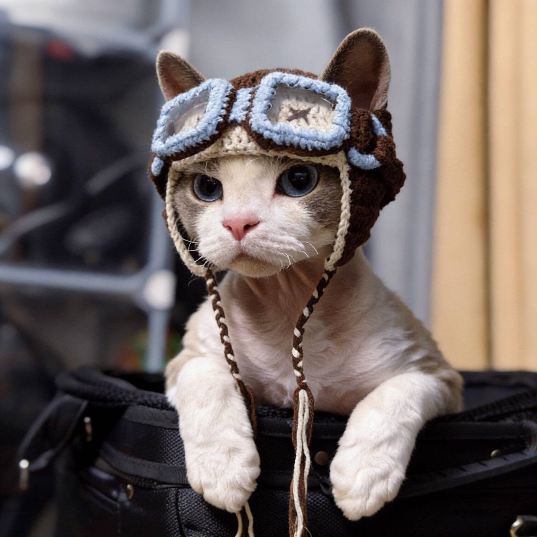 飞行员宠物帽子猫咪头套狗狗头饰手工针织帽cosplay拍照装扮道具