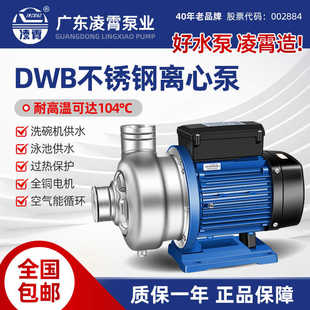 凌霄不锈钢离心泵DWB型热水循环泵220V中央空调增压泵低噪380水泵