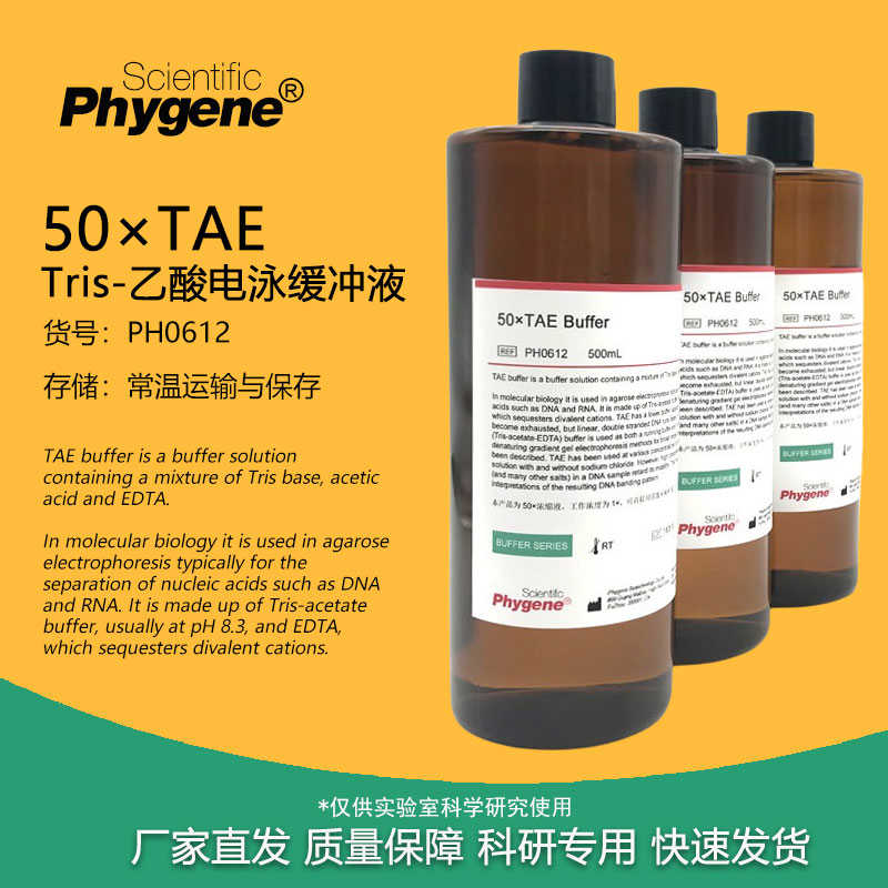 50×TAE Tris电泳缓冲液 50X TAE缓冲液 500mL [PH0612 PHYNE]
