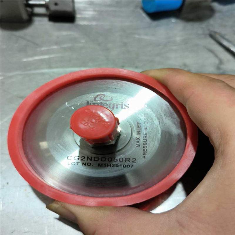 气体扩散器ENTEGRIS,CG2DD050R2（憨憨电子）