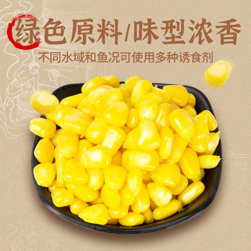 新款直销嫩玉米饵料窝料野钓打窝玉米粒钓饵鲤鱼翘嘴草鱼鳊鱼饵料