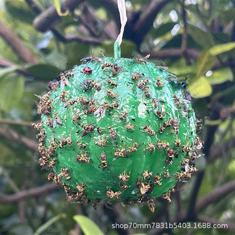 新款直销诱蝇球瓜果实蝇柑橘大果实蝇球针锋引诱剂粘虫黄板果园粘,居家日用,粘蝇纸,淘宝优惠券,粉丝福利购,淘宝优惠卷