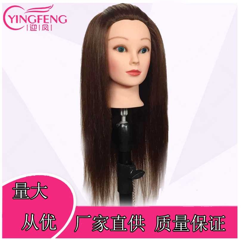 新款直销假发教习头混真发头模半真假模特头可卷烫编发盘发练习头