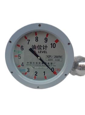厂家供应ZF3-200TH指针式油位计YZF3-250TH油Y枕ZF3-147变压器油