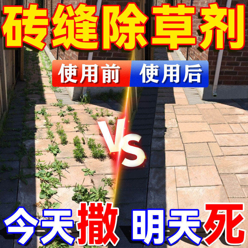 砖缝除草神器庭院专用环泰铜强力除草烂根剂一扫光三年不长草正品,鲜花速递/花卉仿真/绿植园艺,土壤覆盖物,淘宝优惠券,粉丝福利购,淘宝优惠卷