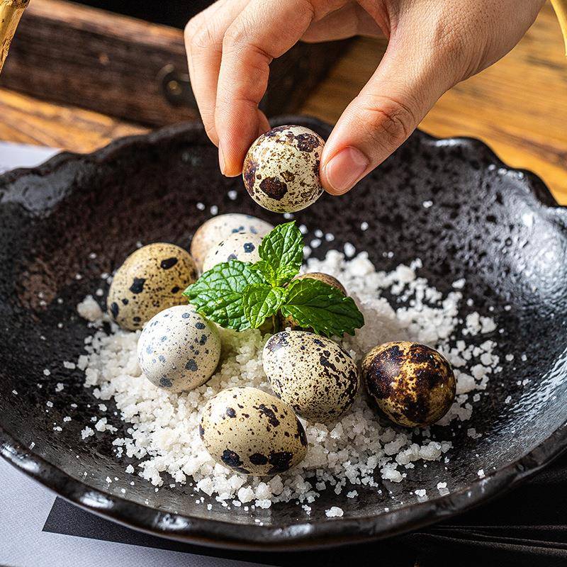 创意日式吊篮盘子个性西餐盘陶瓷提篮盘料理托盘带提手刺身料理盘