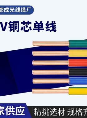 BV60227IEC01(BV)铜芯聚氯乙烯绝缘电线电缆450/750V厂家BV铜芯单