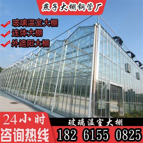 厂智能温室玻璃大棚温室全棚蔬菜连栋套棚骨架S钢管农业钢架大