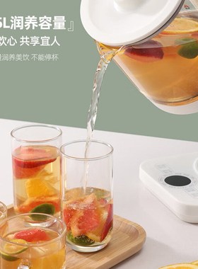 龙的养生壶 办公室家用电茶壶煮茶壶花茶壶玻璃煮茶器煎LD-YS151A