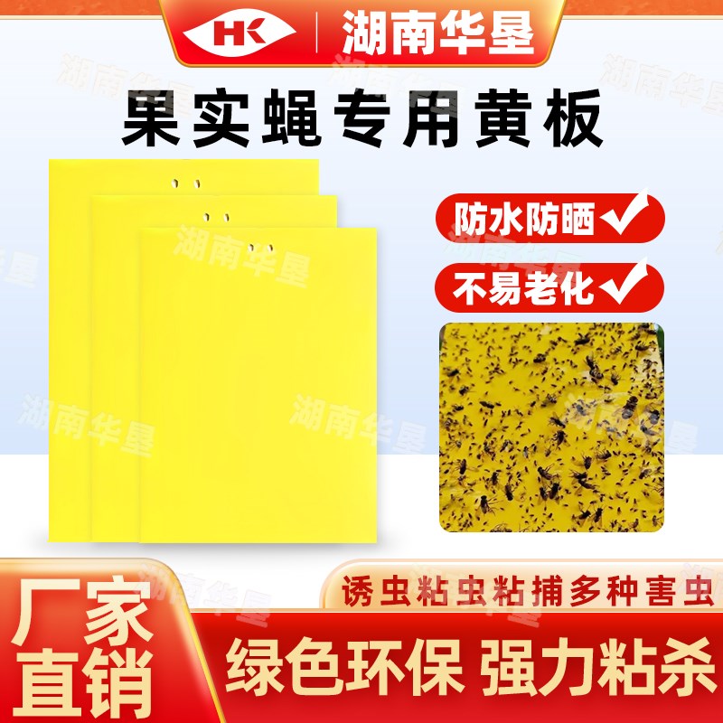 黄板果实蝇桔小实蝇诱粘板防水防C晒抗老化双面粘虫大棚专用诱虫