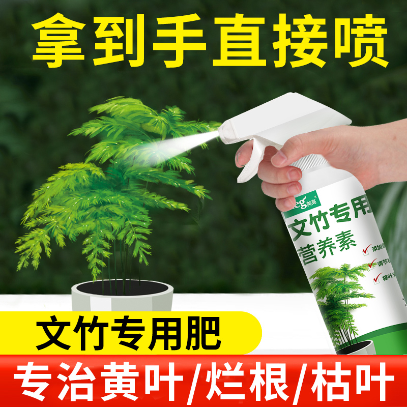 文竹营养液专用肥料免稀释盆栽水培植物叶L子发黄肥料通用型液体