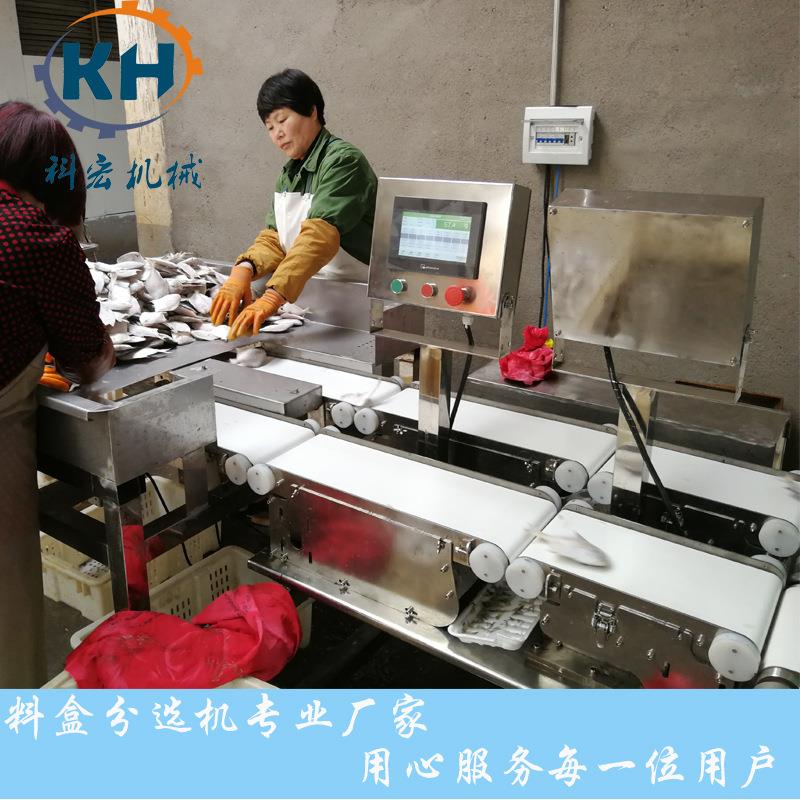 科宏量分选KHPD机 鳕鱼多区重量分拣机重间 鱼类自动低分级机 价
