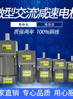 6W15W25W40W60W120W180W200W250W300W400W齿轮调定减速口罩机电机