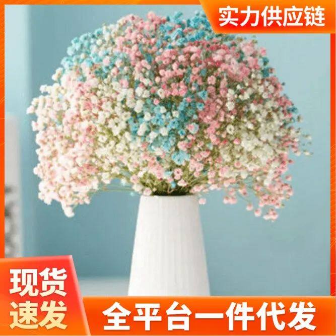 满天星干花花束家居摆设装饰小清新干花客厅办公室摆件风干花束
