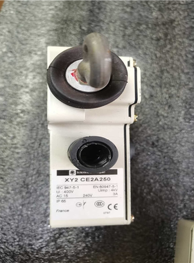 (询价)（1-78）XY2-CE2A250 在用设备施耐