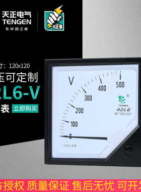 TENN天正42L6-V电压表120*120MM指针式交流450V 500V 10KV/100V