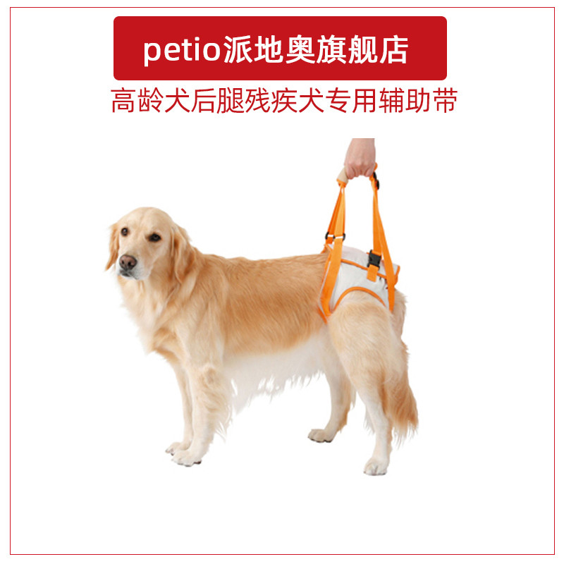 高龄犬介护用宠物牵引绳后腿残疾受伤老龄狗狗辅助带背带