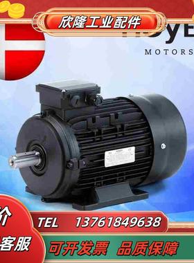 HＯYER电机丹麦霍尔三相异步电动机工业船用HMA2议价