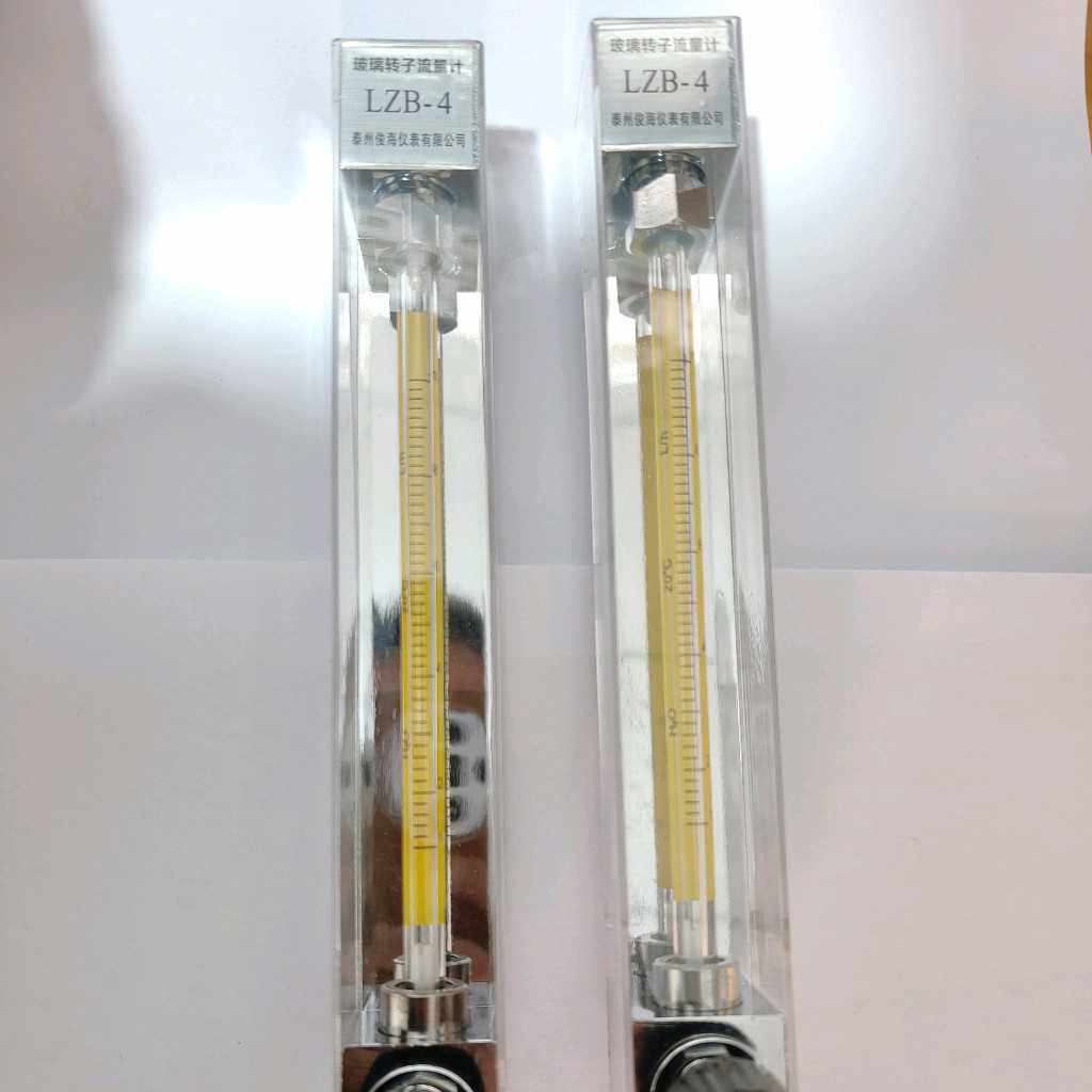 泰州俊海LZB-4/LZB-6/LZB-10空气25-250L玻璃转子流量计水处理
