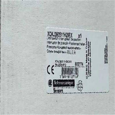 XCKJ390511H29EX 施耐德限位开关议价