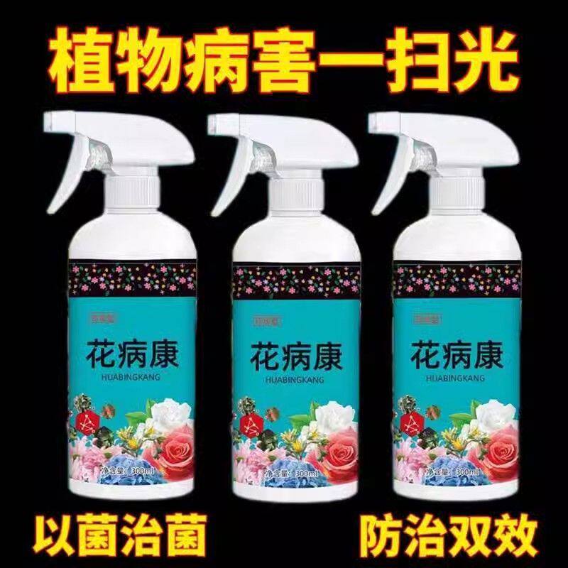 黑斑病白粉病专用花病康花卉通用杀菌剂营养液多肉蔷薇植物白斑