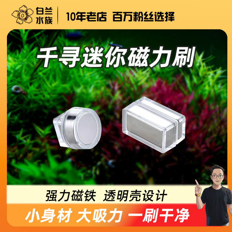 【白兰水族】千寻鱼缸磁力刷 强磁 小型鱼缸刷磁力刷 包邮