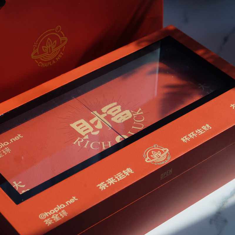 春节礼盒新年随手武夷岩茶礼盒套装年货礼盒蛇年茶叶茶具杯杯生财