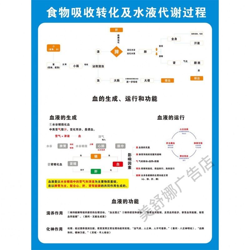 食物吸收转化及水液代谢过程高清海报装饰画血液的功能定制kt板