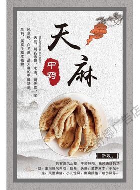中药材介绍 天麻  高丽参 鹿茸 藏红花海报墙贴墙纸宣传画挂图