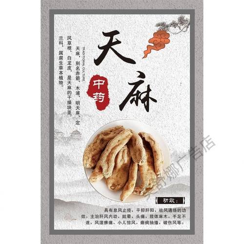 中药材介绍 天麻  高丽参 鹿茸 藏红花海报墙贴墙纸宣传画挂图