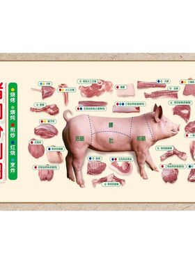 猪肉分割图海报贴纸鲜肉店背景墙贴纸装饰画土猪肉墙贴海报广告纸
