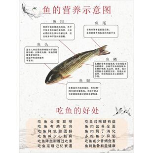 鱼的营养示意图吃鱼的好处饭店餐馆烤鱼炖鱼店装饰画自粘贴画海报