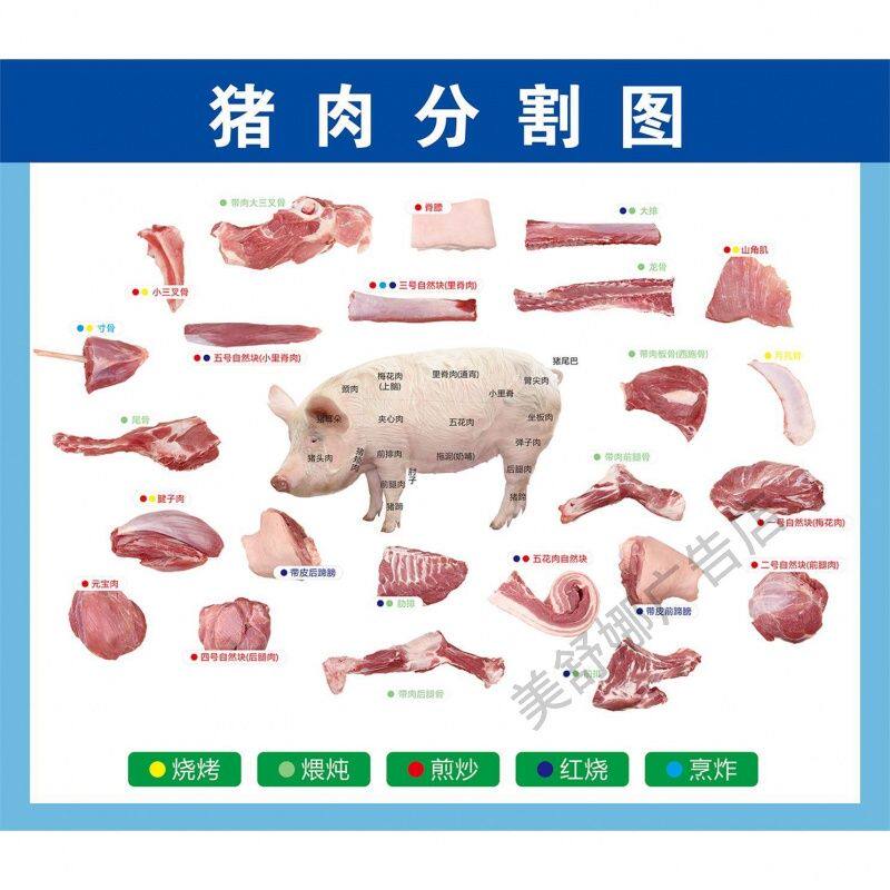 猪肉分割图 牛肉分割图广告自粘画防水防晒海报贴画kt板