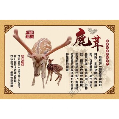 鹿茸广告海报贴纸天然中药材装饰画养生滋补品店药店挂图墙贴KT板